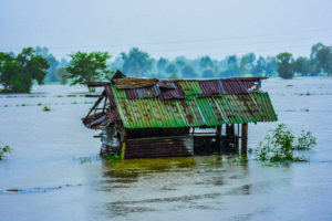 © Shutterstock/Neenawat Khenyothaa