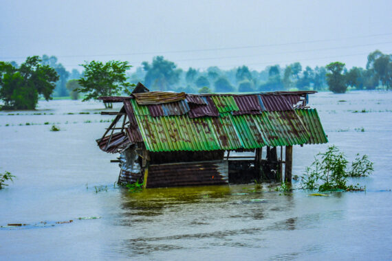 © Shutterstock/Neenawat Khenyothaa